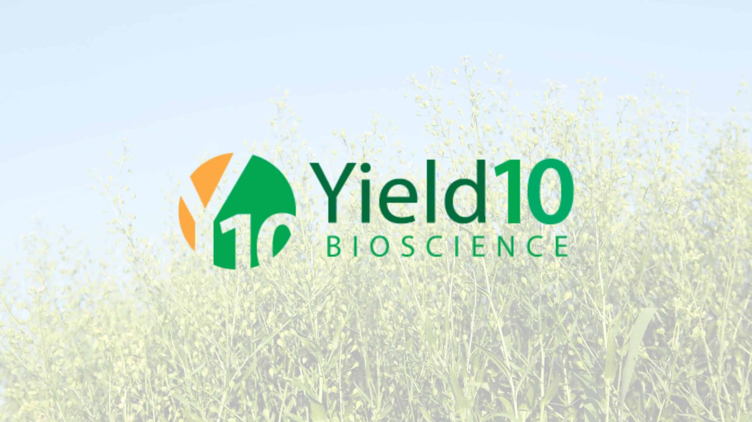 Handing the Farming a Goldmine of Biofuels