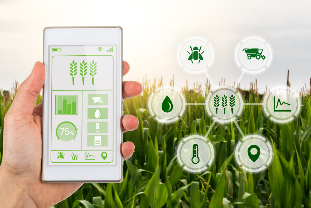 Sowing the Seeds of a Business Boom in Agriculture Sector