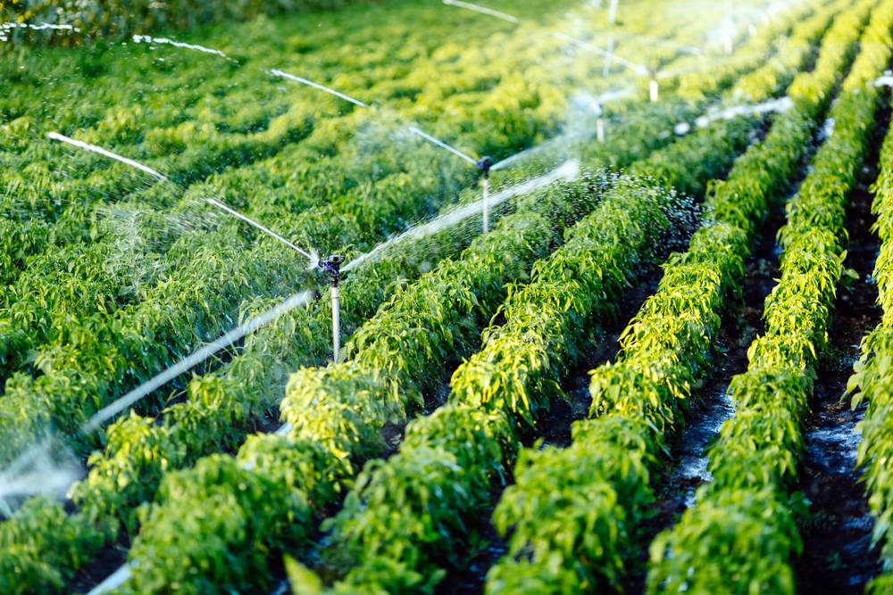 Encouraging Mindful Management of Water Resources