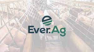 Unlocking an Optimized Brand of Feed Management