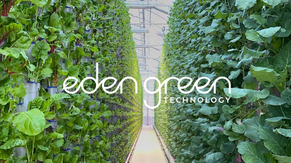 Centralize Herb Production to Achieve a Fresh and Sustainable Output