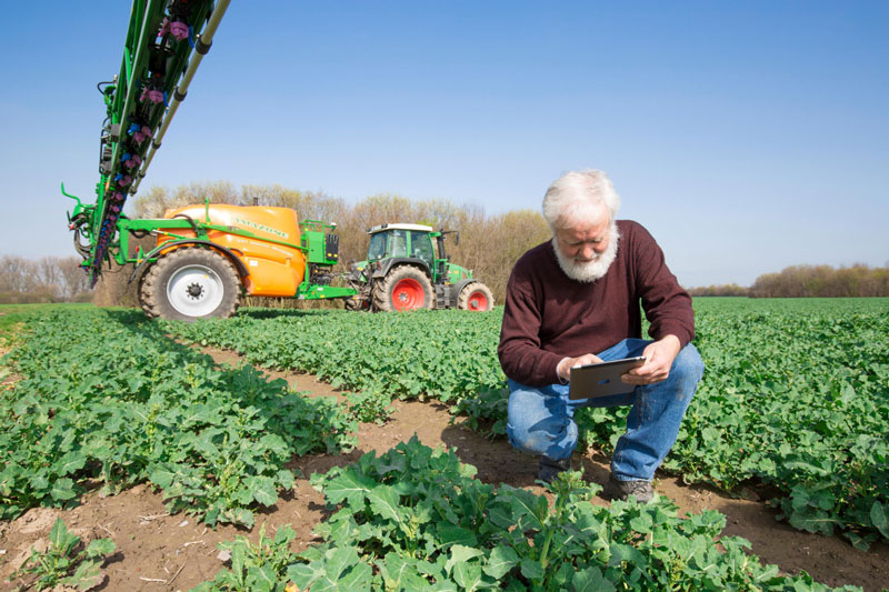Expanding Accessibility to Data for a Quicker and More Efficient Agricultural Operation