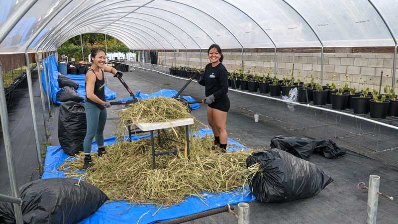 Financing a Unique Waste Management Technique to Flip the Page on Fertilizers