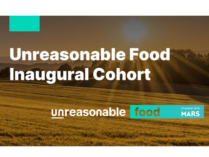 Packing Together a 15-Player Cohort to Clean Up Our Food Chain