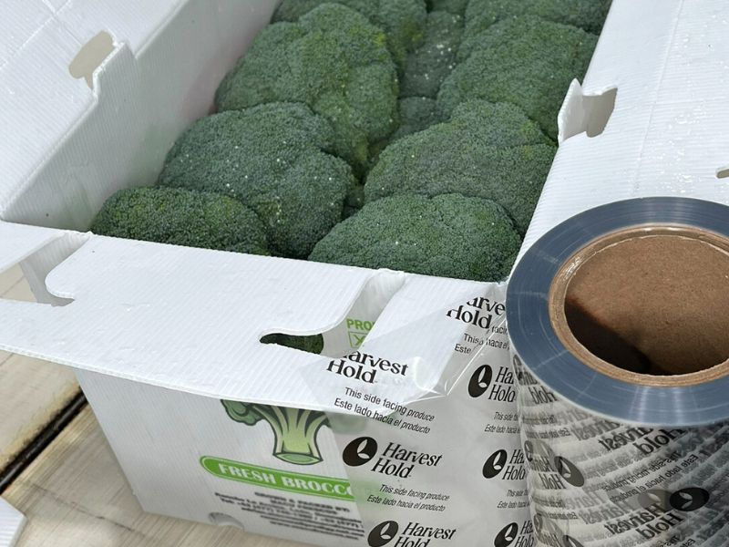 Solving the Shelf-life Problem of Agricultural Produce