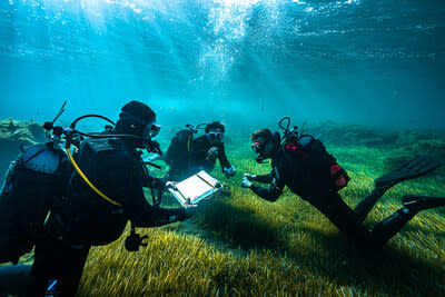 Tapping into the Microbial Potential for a New Assortment of Environment-focused Solutions