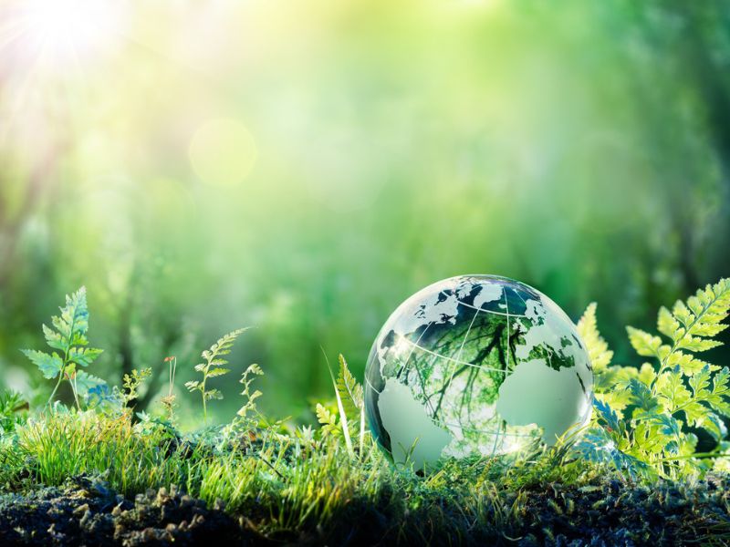 Leading the Agriculture Cohort Against Environmental Risks