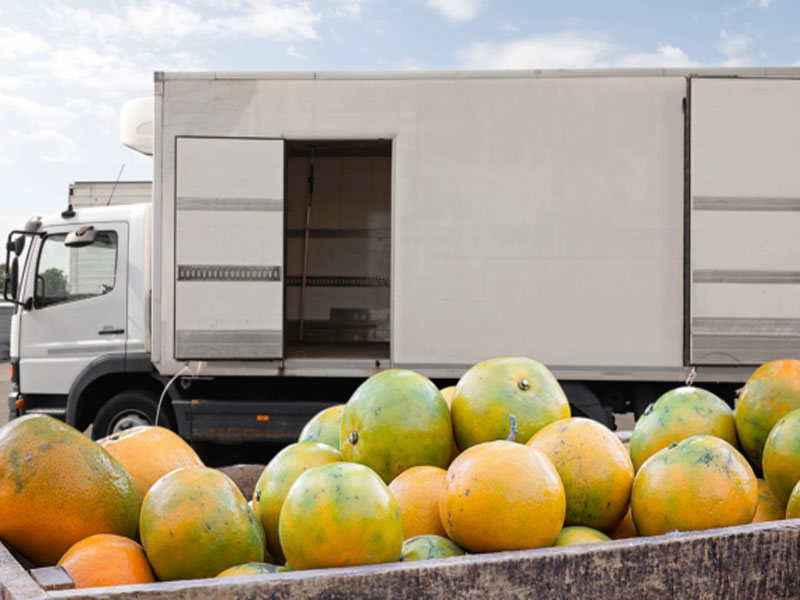 One Step Closer to Making the Cold Chain Problem Just Another Part of Our History
