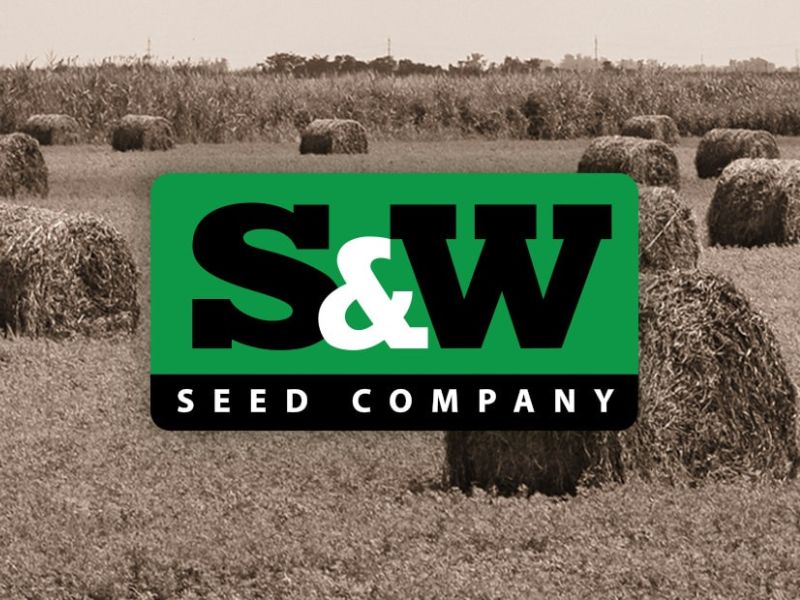 Proposing a Weed Control Alternative to Give Forage Sorghum Growers a Fair Short at Profitability