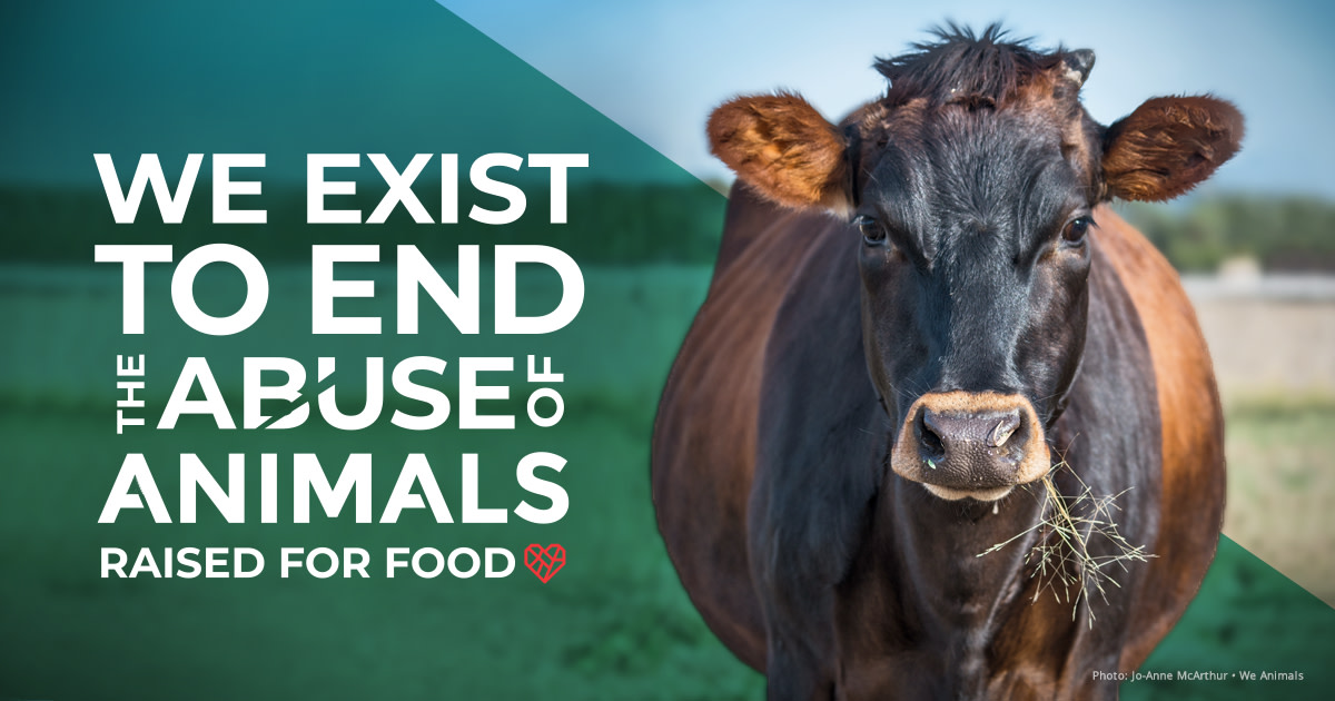 A Collated Effort to Defeat Animal Cruelty at Scale