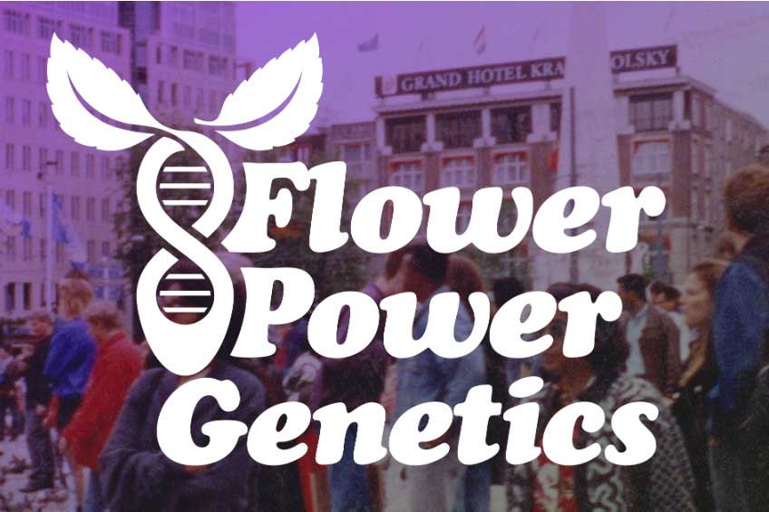 Inspiring the Cannabis Industry to a Long-lost Sense of Robustness