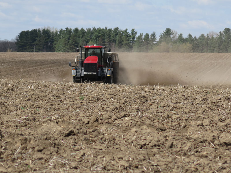 Weathering the Financial Squeeze: 5 Strategic Moves for Grain Growers