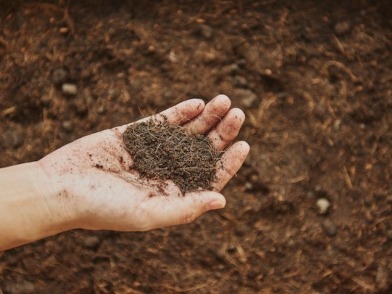 A New Era in Soil Testing: Deep Learning Model Shows Breakthrough Accuracy in Predicting Soil Health
